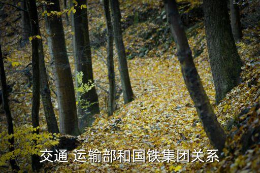 鐵路運(yùn)輸總公司,中國(guó)鐵路運(yùn)輸總公司