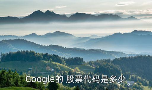 Google的 股票代碼是多少