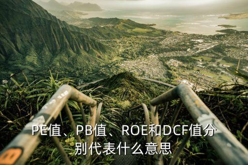 PE值、PB值、ROE和DCF值分別代表什么意思