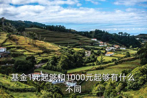 基金1元起夠和1000元起夠有什么不同