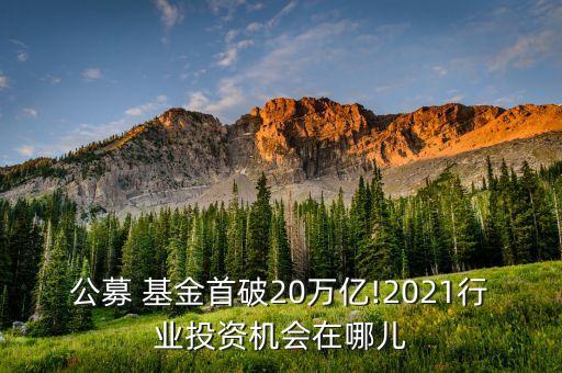 公募 基金首破20萬億!2021行業(yè)投資機(jī)會在哪兒