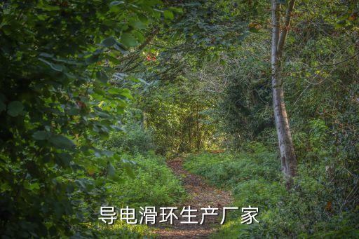 杭州青鳥(niǎo)電子有限公司