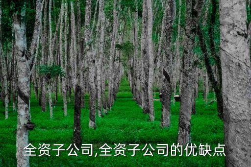 格力全資子公司,全資子公司的優(yōu)缺點(diǎn)