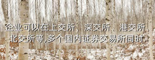 企業(yè)可以在上交所、深交所、港交所、北交所等,多個(gè)國內(nèi)證券交易所同時(shí)...