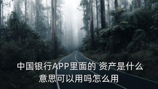  中國銀行APP里面的 資產(chǎn)是什么意思可以用嗎怎么用