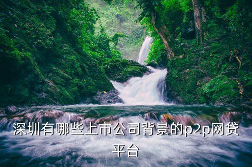 深圳有哪些上市公司背景的p2p網(wǎng)貸平臺(tái)