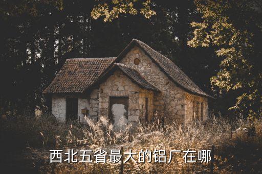 西北五省最大的鋁廠在哪