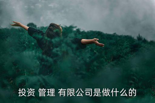 投資 管理 有限公司是做什么的