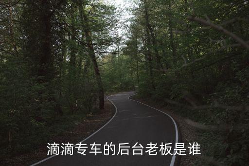 滴滴專車的后臺老板是誰