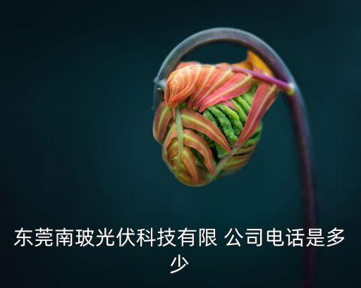 南玻各公司主要領(lǐng)導(dǎo)人