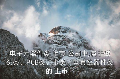 電子元器件類 上市 公司中,屬于磁頭類、PCB類、卡類、電真空器件類的 上市...