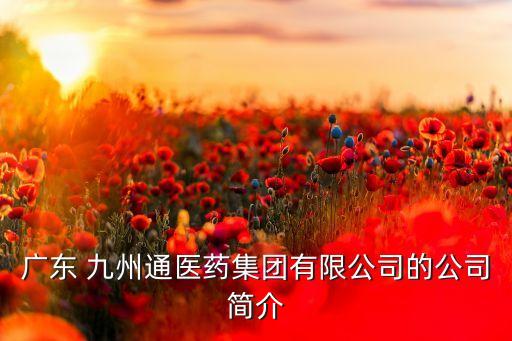 廣東 九州通醫(yī)藥集團有限公司的公司簡介