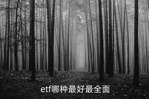  etf哪種最好最全面