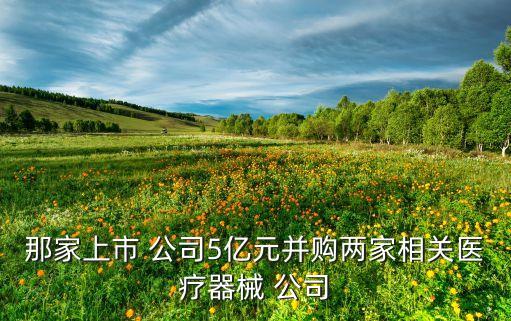 那家上市 公司5億元并購兩家相關(guān)醫(yī)療器械 公司