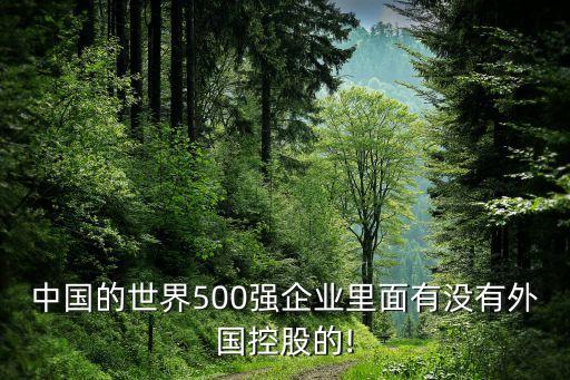 中國的世界500強(qiáng)企業(yè)里面有沒有外國控股的!