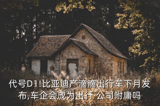 代號D1!比亞迪產(chǎn)滴滴出行車下月發(fā)布,車企會成為出行 公司附庸嗎