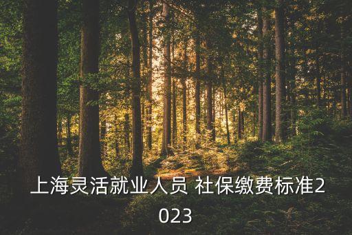  上海靈活就業(yè)人員 社保繳費(fèi)標(biāo)準(zhǔn)2023