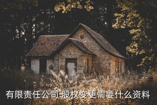 有限責任公司 股權變更需要什么資料