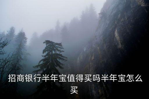  招商銀行半年寶值得買(mǎi)嗎半年寶怎么買(mǎi)