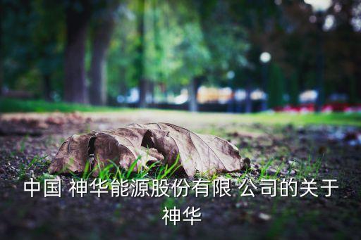 中國 神華能源股份有限 公司的關(guān)于 神華