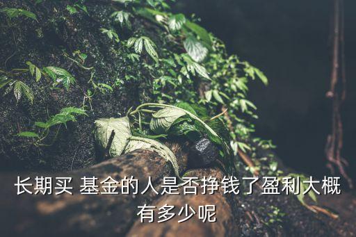 長期買 基金的人是否掙錢了盈利大概有多少呢