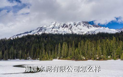  海螺水泥有限公司怎么樣