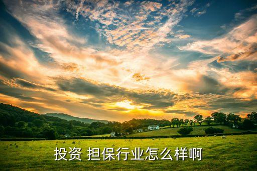 什么是融資擔(dān)?；?海南省融資擔(dān)?；鹩邢挢?zé)任公司