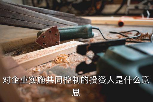 對(duì)企業(yè)實(shí)施共同控制的投資人是什么意思