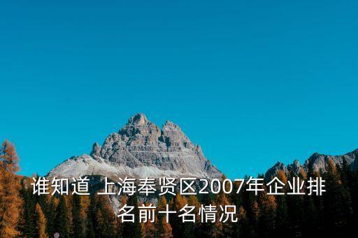 誰知道 上海奉賢區(qū)2007年企業(yè)排名前十名情況