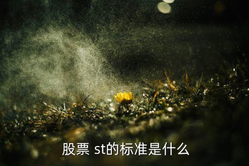  股票 st的標準是什么