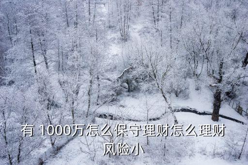 有 1000萬(wàn)怎么保守理財(cái)怎么理財(cái)風(fēng)險(xiǎn)小