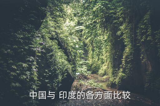 中國(guó)與 印度的各方面比較