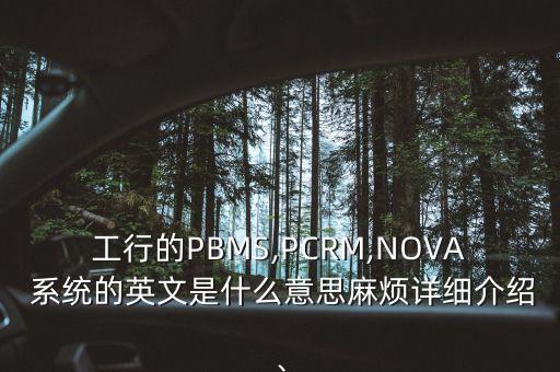 工行的PBMS,PCRM,NOVA 系統(tǒng)的英文是什么意思麻煩詳細介紹、