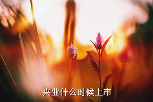  興業(yè)什么時(shí)候上市