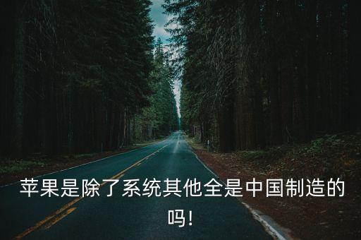 蘋果什中國,蘋果為什么沒有9