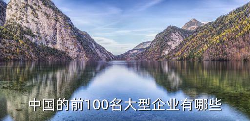 中國(guó)的前100名大型企業(yè)有哪些