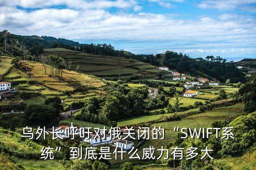 烏外長呼吁對俄關(guān)閉的“SWIFT系統(tǒng)”到底是什么威力有多大