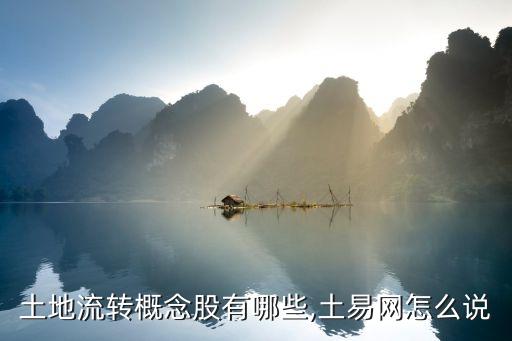 土地流轉(zhuǎn)概念股有哪些,土易網(wǎng)怎么說(shuō)