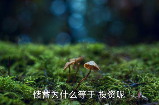 儲(chǔ)蓄為什么等于 投資呢