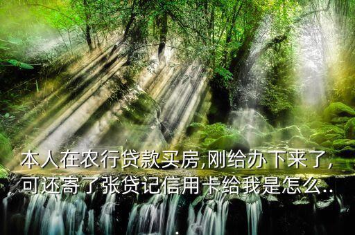 上海農(nóng)業(yè)銀行房貸包裝騙人,2021年上海農(nóng)業(yè)銀行房貸