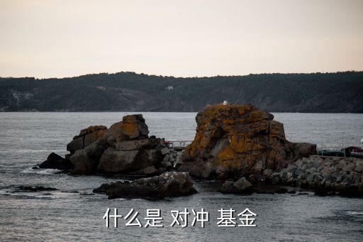 個(gè)人對(duì)沖基金,對(duì)沖基金是什么意思呢