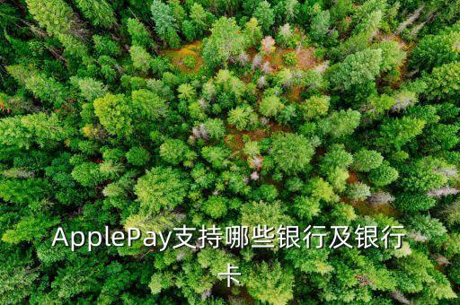 applepay中國,Applepay中國銀行一類卡