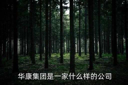  華康集團(tuán)是一家什么樣的公司