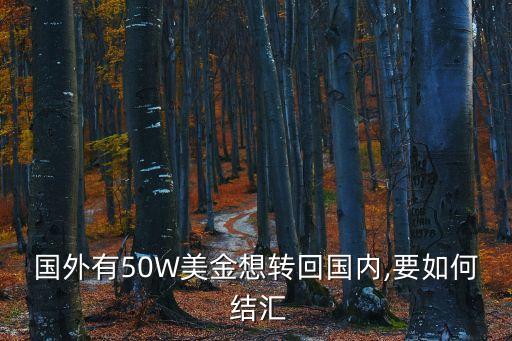 國外有50W美金想轉回國內,要如何 結匯