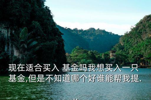 現(xiàn)在適合買入 基金嗎我想買入一只 基金,但是不知道哪個(gè)好誰能幫我提...