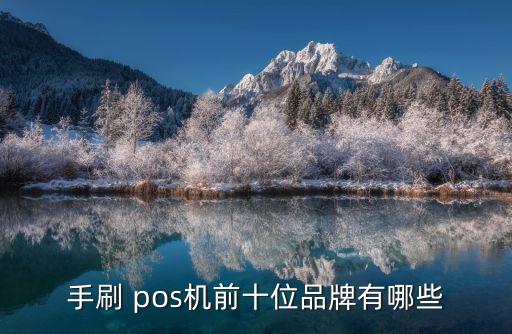 pos機第三方支付公司排行榜,第三方支付pos機怎么辦理