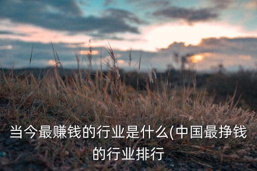 當(dāng)今最賺錢的行業(yè)是什么(中國最掙錢的行業(yè)排行