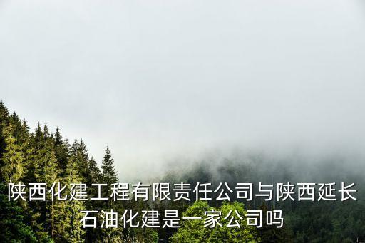 陜西化建工程有限責(zé)任公司與陜西延長(zhǎng)石油化建是一家公司嗎