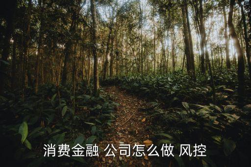 消費金融 公司怎么做 風(fēng)控