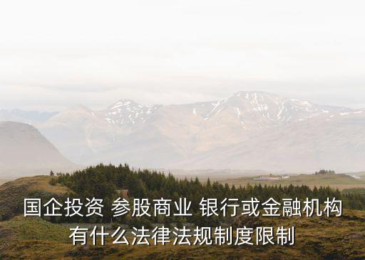 國企投資 參股商業(yè) 銀行或金融機構(gòu)有什么法律法規(guī)制度限制